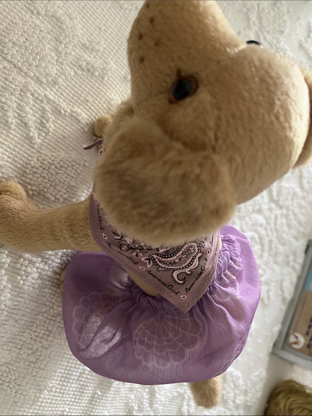 American girl tan puppy